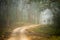 Beautiful forest road in dense winter fog.