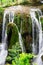 Beautiful forest waterfall fall between green trees, bushes and