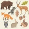 Beautiful Forest Woodland Creatures Animals