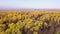 Beautiful forested valley with a small town. Clip. Autumn aerial view of the bright golden and green mixed forest and