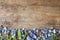 Beautiful forget-me-not flowers on wooden background, flat lay