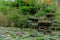 Beautiful fountain, overgrown with greenery