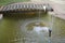 Beautiful fountain in the pond