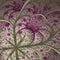 Beautiful fractal flower in vinous and gray.