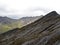 Beautiful Frailejones plants, Espeletia, in paramo highland of Cocuy National Park, Colombia