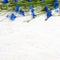 Beautiful Frame of Blue knapweed flowers on white background