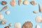 Beautiful frame of shells and seashells on a blue background. simple minimalistic summer composition. copy space with place for