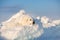 Beautiful and free maremmano abruzzese dog lying on ice floe and snow on the frozen sea background