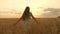 Beautiful free woman, dance in the warm sunshine in a wheat field on a sunset background. girl travels. happy girl