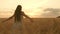 Beautiful free woman enjoying nature in warm sunshine in a wheat field on a sunset background. girl travels. happy young