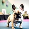 Beautiful french bulldog - ai generated image