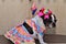 The beautiful French bulldog dress with colorful bow on the head