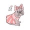 Beautiful french bulldog girl dressed up in ballerina skirt, hand drawn graphic, animal illustration