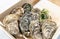 Beautiful fresh hollow oysters from Brittany or Normandy in France