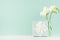 Beautiful fresh spring festive background with elegant standing gift box, white flowers in vase in green mint menthe interior.