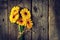 Beautiful Fresh Spring Yellow Bunch of Gerbers on Old Vintage Wooden Table.