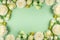 Beautiful fresh white and yellow flowers frame on light green background. Lovely floral composition. Blooming spring