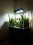 Beautiful freshwater aquascape with live aquarium plants