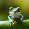 Beautiful frog with big eyes - ai generated image