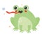 beautiful frog illustration