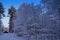 Beautiful frosty winter day, snow-covered trees.