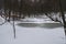 Beautiful frozen lake in a forest at winter