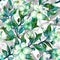 Beautiful fruit tree twigs in bloom. White and green flowers with outlines on white background. Seamless spring floral pattern.