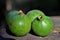 Beautiful Fruits of Green American Genipa on Tree Trunk Table