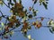 Beautiful fruits saying hello to spring