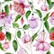 Beautiful fuchsia flowers on climbing twigs on white background. Seamless floral pattern. Watercolor painting.