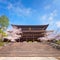 Beautiful full bloom Cherry Blossom - Sakura in scenic spring time at Chion-in temple