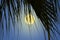 Beautiful full moon in the palm leaf curtain at night