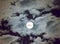 Beautiful full moon and white cloudy sky background in the midnight sky background, moonlight on Halloween night without stars.