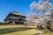 Beautiful fully cherry blossom tree in front of public parks with temple in background