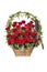 Beautiful funeral wreath of red roses