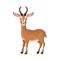 Beautiful funny cartoon antelope. Cute, fast antelope with sharp horns.