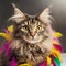 Beautiful furry cat with colorful feathers, interior with soft light
