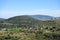 Beautiful Galilee landscape with trees.