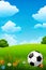 beautiful game with a soccer ball on a grassy field under a clear blue sky.