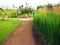 Beautiful garden alley and decorative stone