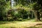 Beautiful garden arch surrounded by trees and ornamental plants in a backyard