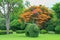 Beautiful garden art decoration  on blossom exotic trees background   in the park