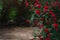 Beautiful garden with blooming rose bushes in summer