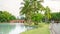 Beautiful garden in Chatuchak park Bankok Thailand, fresh green grass lawn yard under coconut palm trees beside a lake