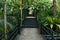 Beautiful garden corridor