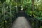 Beautiful garden corridor