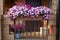 Beautiful garden with flower box and pot plants on the porch