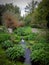 Beautiful garden in Giardini di Ninfa, Italy