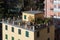 Beautiful garden made on the roof of house in Vernazza town, Italy