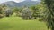 Beautiful garden at the Palmital waterfall, mountains in the background.